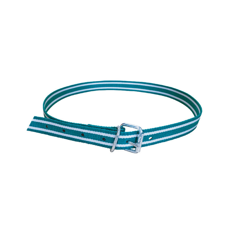 Halsband met gesp 130 cm – 40 mm breed - Nekriem voor veemanagement