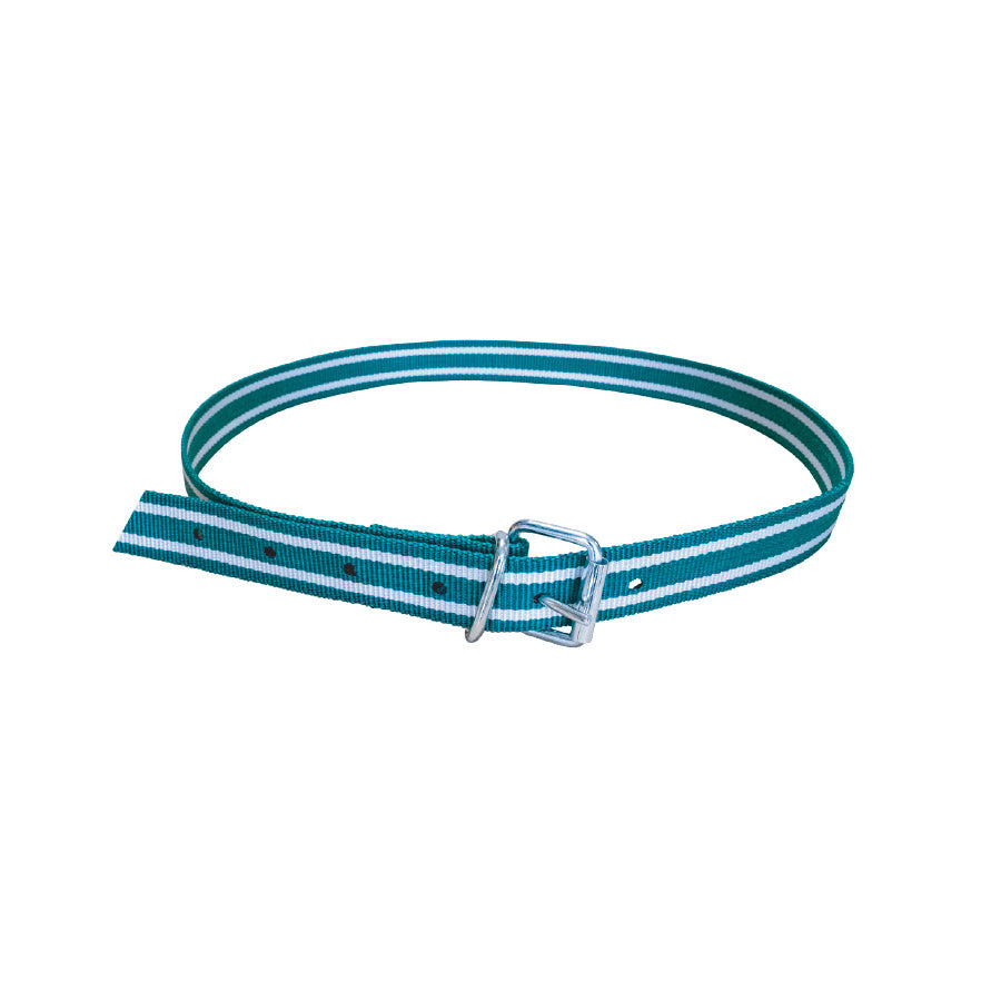 Halsband met gesp 130 cm – 40 mm breed - Nekriem voor veemanagement