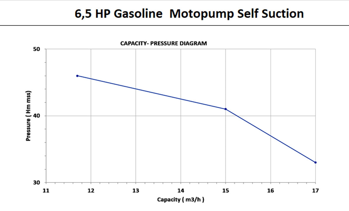 Yüzüak 6,5 pk Benzinemotorpomp detail