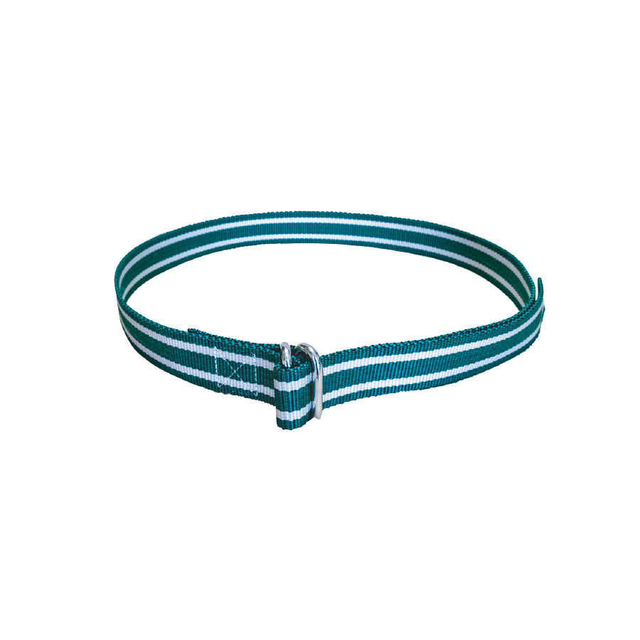 Halsband met knelgesp 160 cm - 40 mm breed - Nekriem voor rundvee