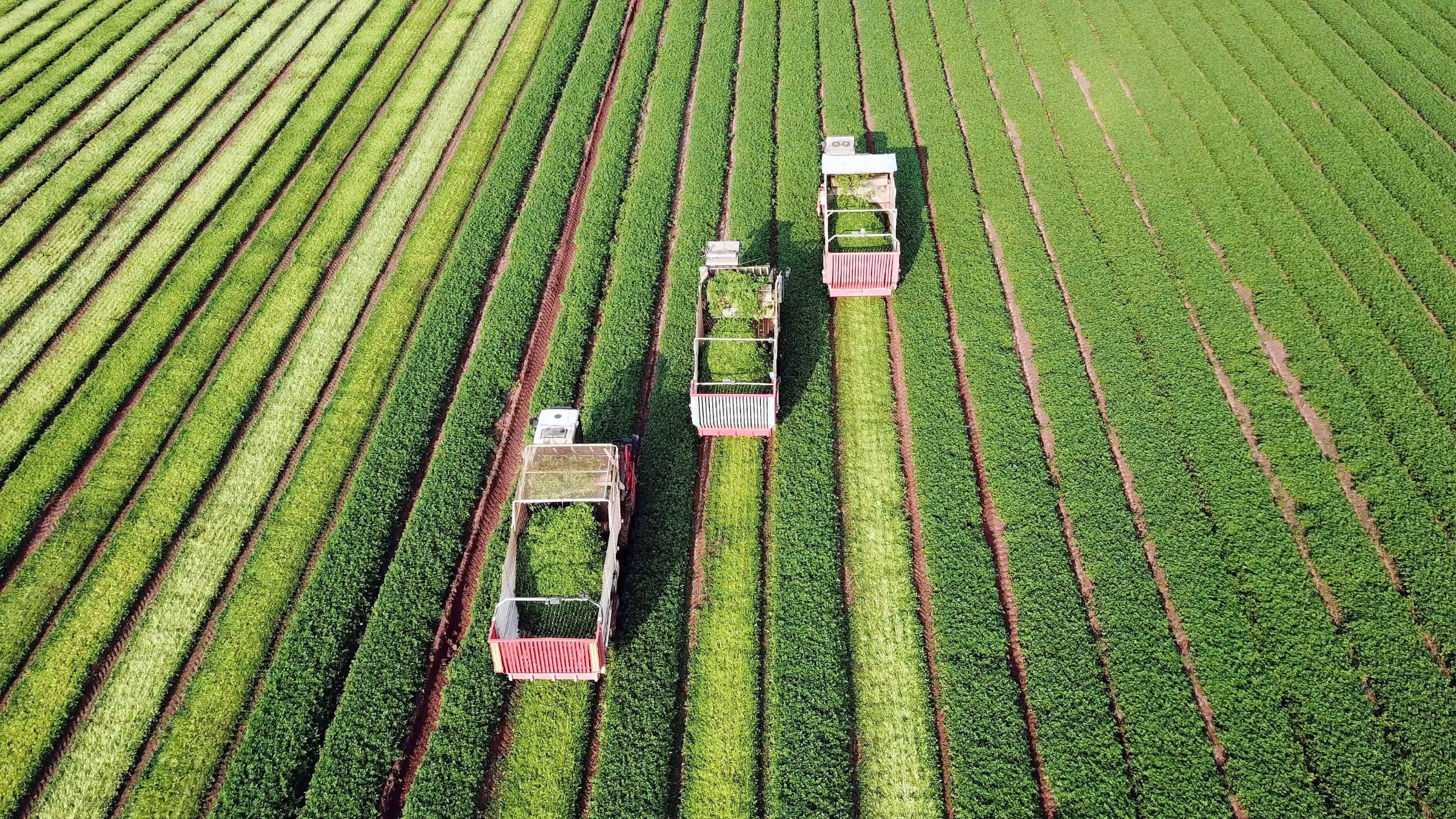 Alles für Ihren landwirtschaftlichen Betrieb