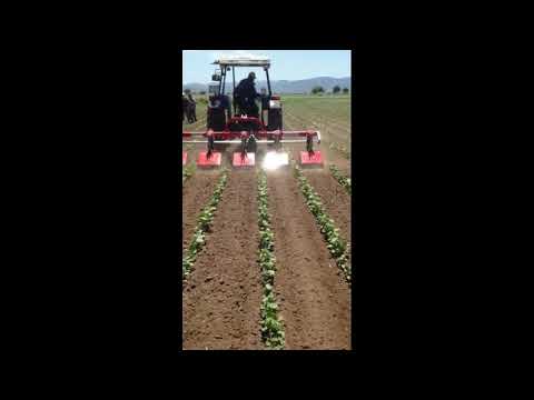 Toscano Frees-schoffelmachine – Vouwbaar